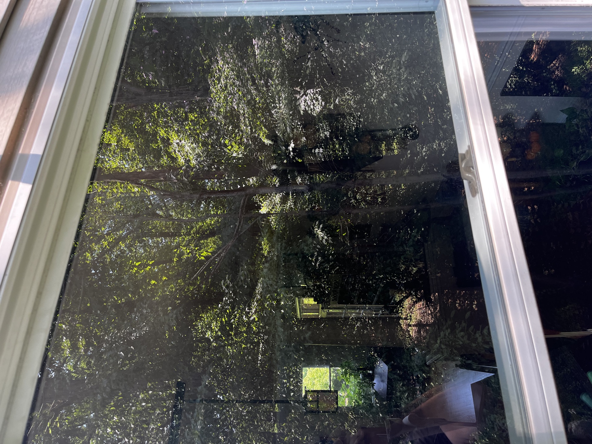 After window cleaning
